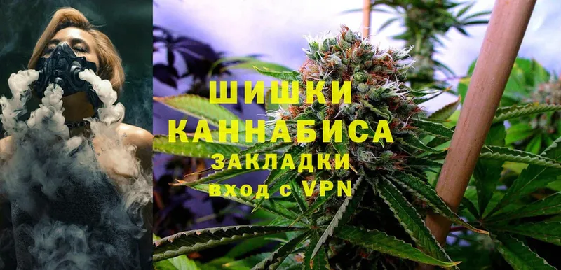 Бошки марихуана Ganja  Высоцк 